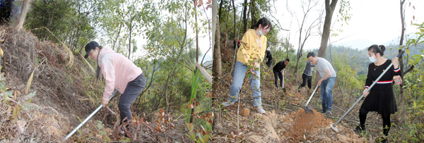 C:\Users\luoyufang\Desktop\20210315義務(wù)植樹(shù)\廈門(mén)宏業(yè)義務(wù)植樹(shù)照片\1.jpg